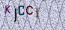 Visual Confirmation Security Code