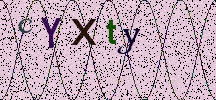 Visual Confirmation Security Code