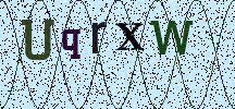 Visual Confirmation Security Code