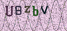 Visual Confirmation Security Code