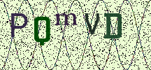 Visual Confirmation Security Code
