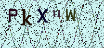 Visual Confirmation Security Code
