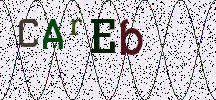Visual Confirmation Security Code
