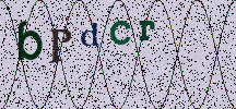 Visual Confirmation Security Code