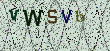 Visual Confirmation Security Code