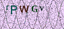 Visual Confirmation Security Code
