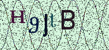 Visual Confirmation Security Code