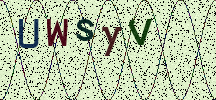Visual Confirmation Security Code