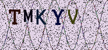 Visual Confirmation Security Code