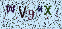 Visual Confirmation Security Code