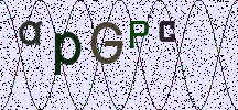 Visual Confirmation Security Code