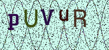 Visual Confirmation Security Code
