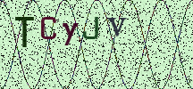 Visual Confirmation Security Code