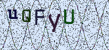 Visual Confirmation Security Code