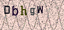 Visual Confirmation Security Code