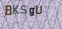 Visual Confirmation Security Code